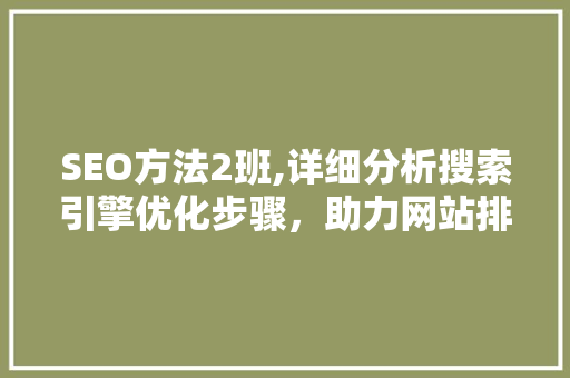 SEO方法2班,详细分析搜索引擎优化步骤，助力网站排名提升