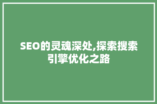 SEO的灵魂深处,探索搜索引擎优化之路