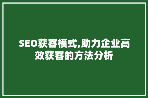 SEO获客模式,助力企业高效获客的方法分析