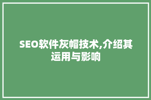 SEO软件灰帽技术,介绍其运用与影响