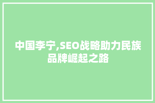 中国李宁,SEO战略助力民族品牌崛起之路