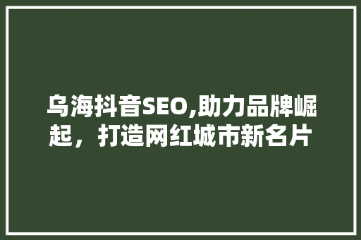 乌海抖音SEO,助力品牌崛起，打造网红城市新名片
