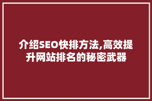 介绍SEO快排方法,高效提升网站排名的秘密武器