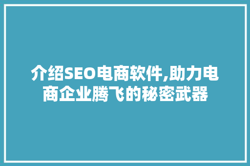 介绍SEO电商软件,助力电商企业腾飞的秘密武器