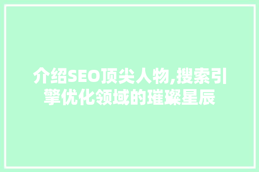 介绍SEO顶尖人物,搜索引擎优化领域的璀璨星辰