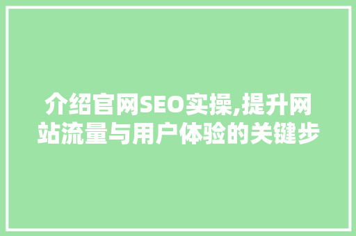 介绍官网SEO实操,提升网站流量与用户体验的关键步骤