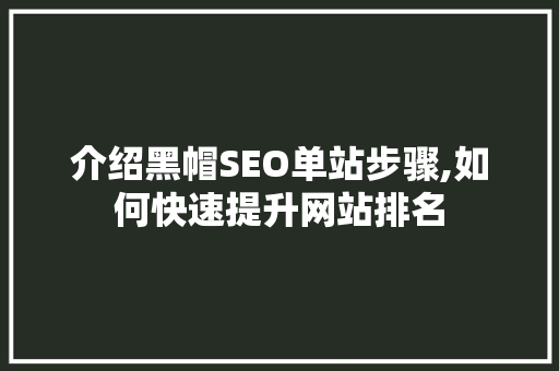 介绍黑帽SEO单站步骤,如何快速提升网站排名