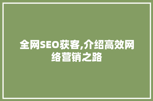 全网SEO获客,介绍高效网络营销之路 编程语言