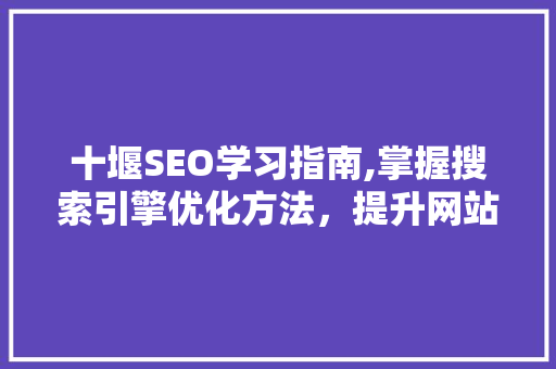 十堰SEO学习指南,掌握搜索引擎优化方法，提升网站排名