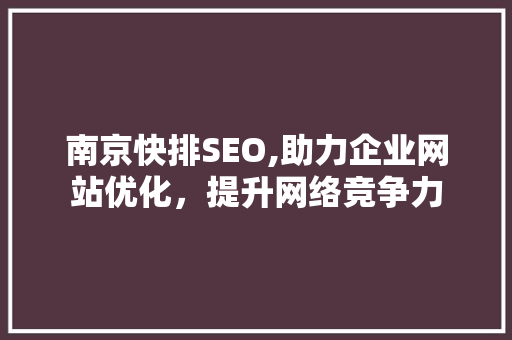 南京快排SEO,助力企业网站优化，提升网络竞争力