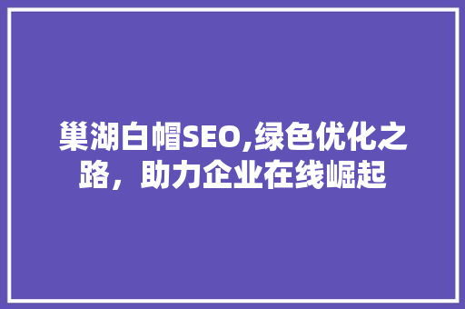 巢湖白帽SEO,绿色优化之路，助力企业在线崛起