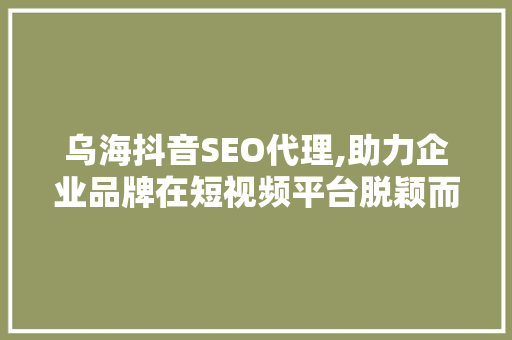 乌海抖音SEO代理,助力企业品牌在短视频平台脱颖而出 乌海抖音SEO代理,助力企业品牌在短视频平台脱颖而出