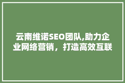 云南维诺SEO团队,助力企业网络营销，打造高效互联网品牌形象