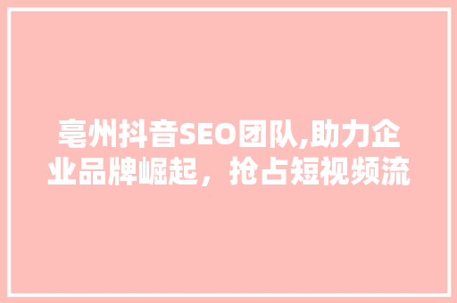 亳州抖音SEO团队,助力企业品牌崛起，抢占短视频流量高地