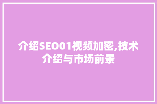 介绍SEO01视频加密,技术介绍与市场前景