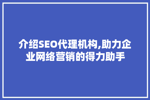 介绍SEO代理机构,助力企业网络营销的得力助手