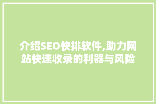 介绍SEO快排软件,助力网站快速收录的利器与风险