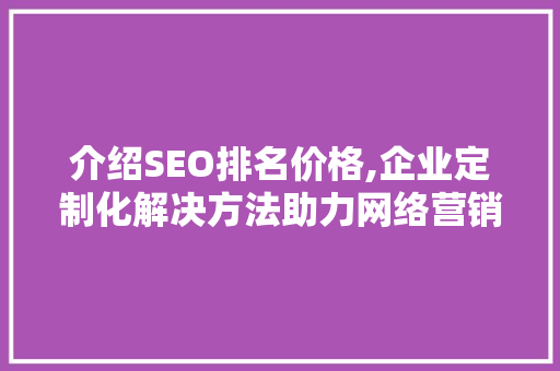 介绍SEO排名价格,企业定制化解决方法助力网络营销新高度