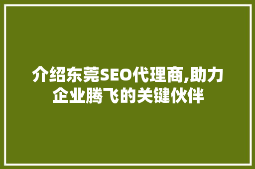 介绍东莞SEO代理商,助力企业腾飞的关键伙伴