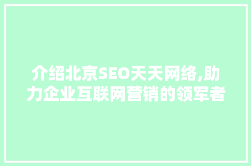 介绍北京SEO天天网络,助力企业互联网营销的领军者