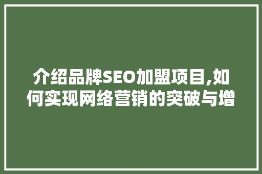 介绍品牌SEO加盟项目,如何实现网络营销的突破与增长