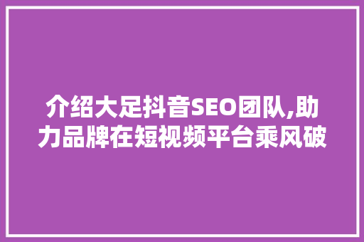 介绍大足抖音SEO团队,助力品牌在短视频平台乘风破浪 介绍大足抖音SEO团队,助力品牌在短视频平台乘风破浪
