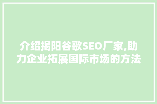 介绍揭阳谷歌SEO厂家,助力企业拓展国际市场的方法