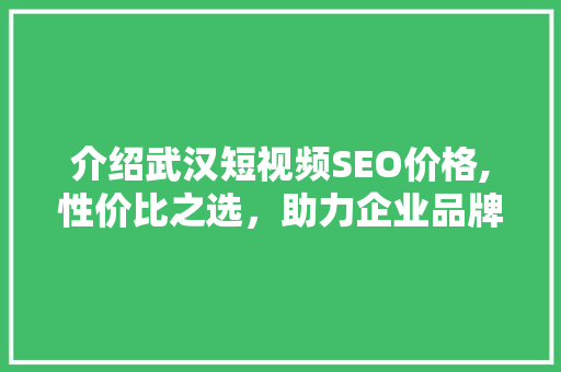 介绍武汉短视频SEO价格,性价比之选,助力企业品牌腾飞 介绍武汉短视频SEO价格,性价比之选,助力企业品牌腾飞