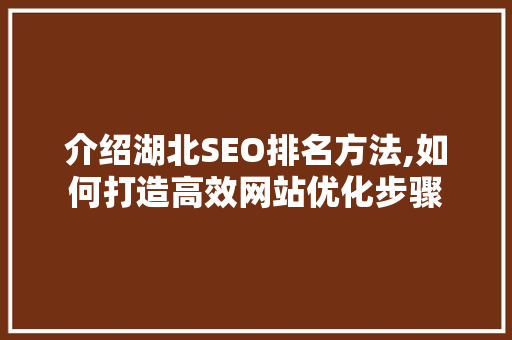 介绍湖北SEO排名方法,如何打造高效网站优化步骤