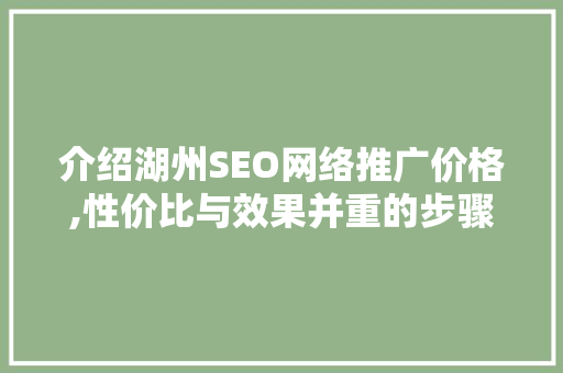 介绍湖州SEO网络推广价格,性价比与效果并重的步骤介绍