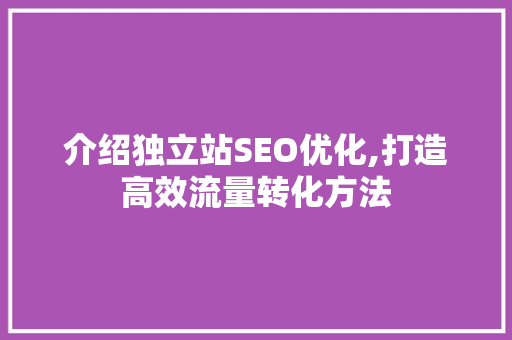 介绍独立站SEO优化,打造高效流量转化方法 介绍独立站SEO优化,打造高效流量转化方法