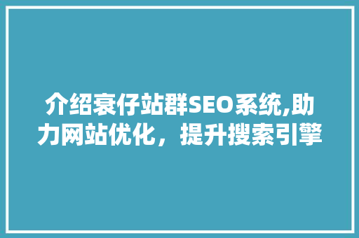介绍衰仔站群SEO系统,助力网站优化，提升搜索引擎排名之路