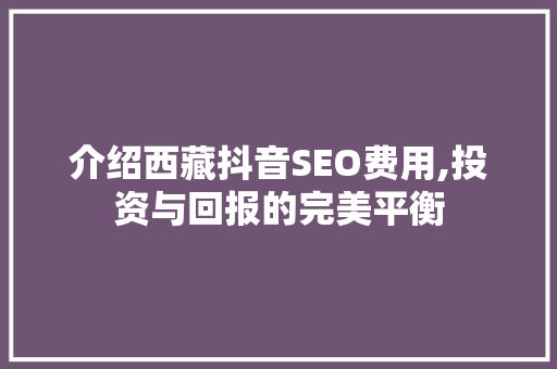 介绍西藏抖音SEO费用,投资与回报的完美平衡