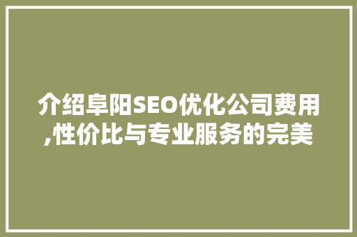 介绍阜阳SEO优化公司费用,性价比与专业服务的完美融合