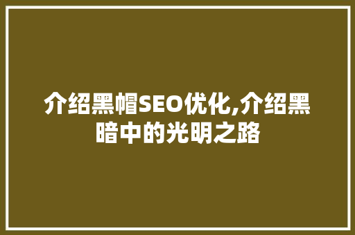 介绍黑帽SEO优化,介绍黑暗中的光明之路 介绍黑帽SEO优化,介绍黑暗中的光明之路