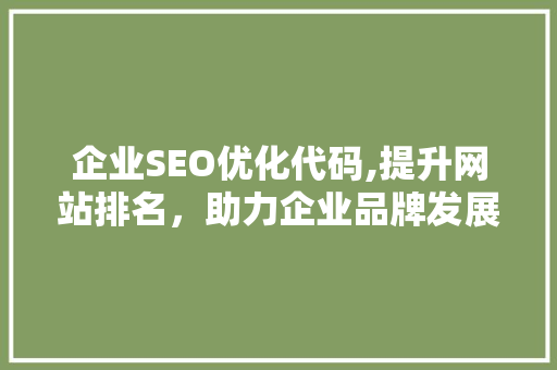 企业SEO优化代码,提升网站排名，助力企业品牌发展