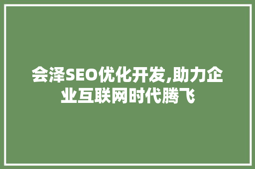 会泽SEO优化开发,助力企业互联网时代腾飞