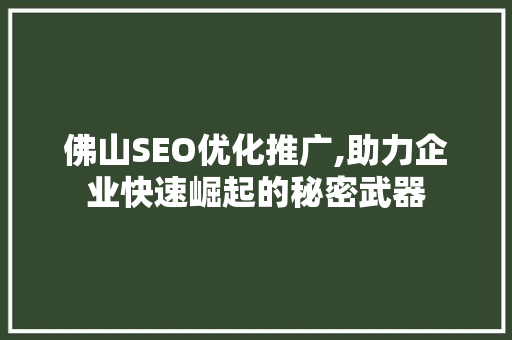 佛山SEO优化推广,助力企业快速崛起的秘密武器