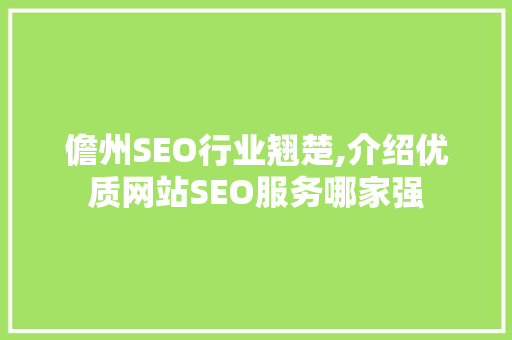 儋州SEO行业翘楚,介绍优质网站SEO服务哪家强
