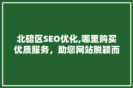 北碚区SEO优化,哪里购买优质服务，助您网站脱颖而出