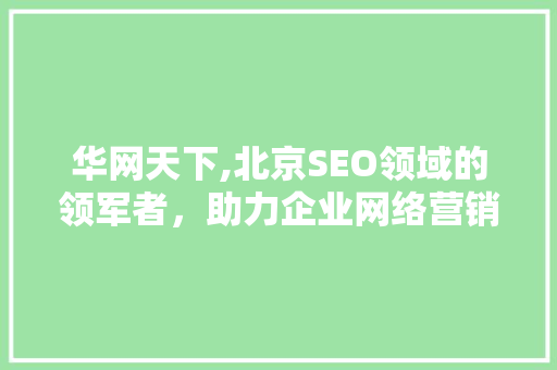 华网天下,北京SEO领域的领军者，助力企业网络营销腾飞