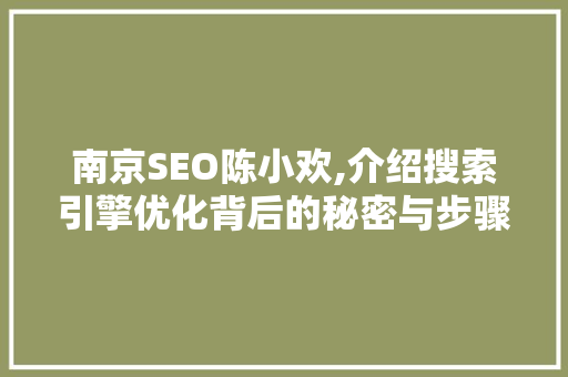 南京SEO陈小欢,介绍搜索引擎优化背后的秘密与步骤