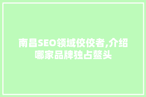 南昌SEO领域佼佼者,介绍哪家品牌独占鳌头 南昌SEO领域佼佼者,介绍哪家品牌独占鳌头