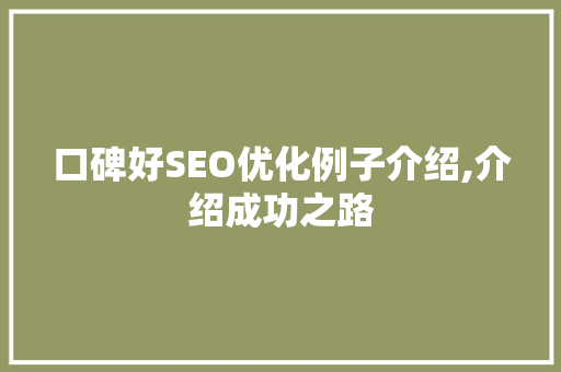 口碑好SEO优化例子介绍,介绍成功之路