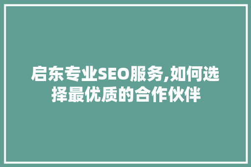 启东专业SEO服务,如何选择最优质的合作伙伴