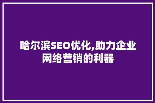 哈尔滨SEO优化,助力企业网络营销的利器