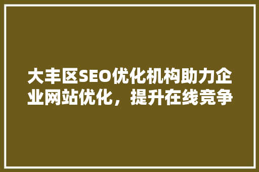 大丰区SEO优化机构助力企业网站优化，提升在线竞争力