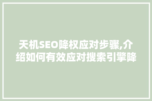 天机SEO降权应对步骤,介绍如何有效应对搜索引擎降权困境