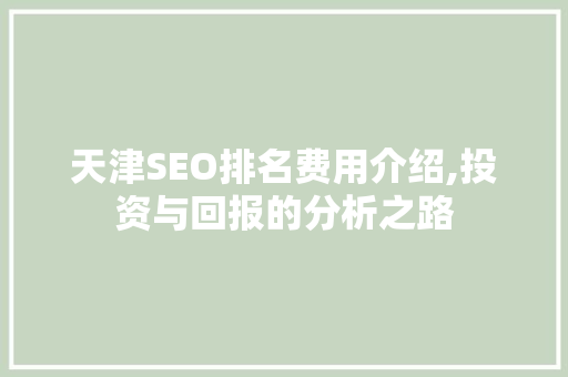 天津SEO排名费用介绍,投资与回报的分析之路
