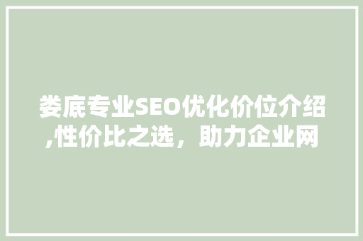 娄底专业SEO优化价位介绍,性价比之选，助力企业网站脱颖而出